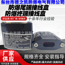 ZDJH-40F/1电伴热带防爆尾端接线盒终端接头220V/380V阻燃防火