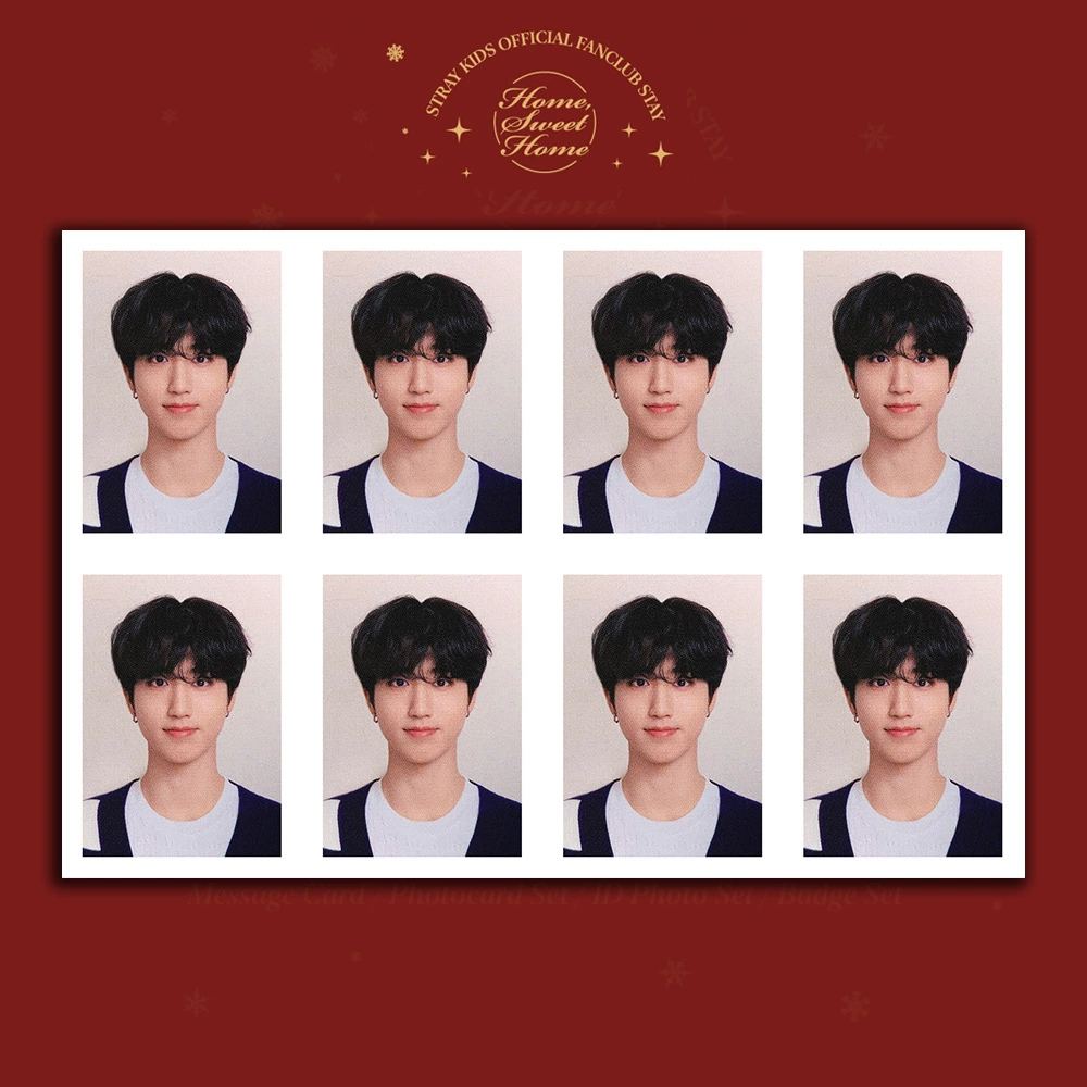 ФАНКЛУБ Stray Kids Stay 3-го поколения: одно-дюймовое фото-паспортное MEMBERSHIP