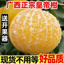 纯甜多汁广西皇帝柑新鲜斤贡柑砂糖橘甜桔子蜜桔沃柑