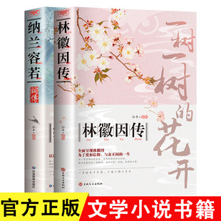 Nalan Rongruo's Biography + Lin Huiyin's Biography Literary Fiction Books Interpretation of Character Poetry Biography Stories
