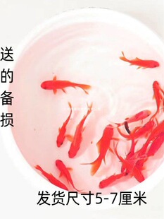 �^�p�~��ˮ�~�t���\���ͻ���B����~�ݽ��~���~