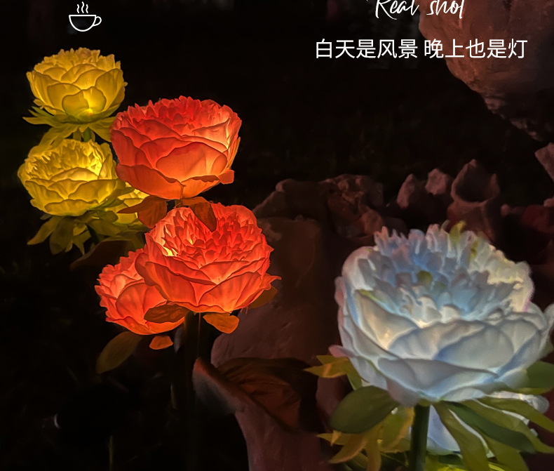 芍药_08.jpg