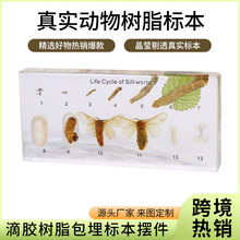 ����̌W��������x�l����֬����˱��۷��������ֲ�����Lʷ�[��