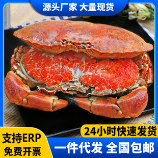 ���з���ĸз�����з�r�����з����з��з�S��з�䌚з����