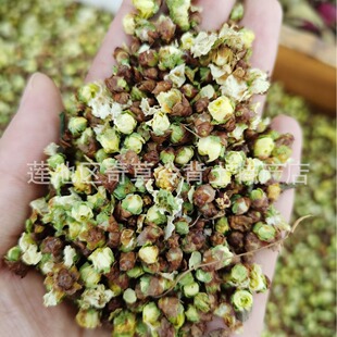 ��÷��,�G��÷,�G÷��,���l�Nޱ��ֲ��÷�Ļ���