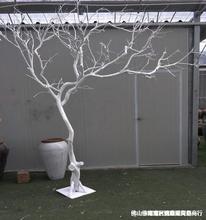 干樹枝干枝樹干白色許願擺件枯樹桿實木天然造型樹假樹裝飾樹綠植