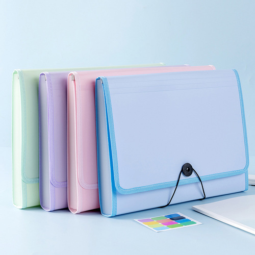 A4 exam paper storage bag, study file bag, book storage bag, primary and secondary school student accordion bag, exam folder