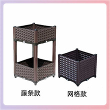 ?�����̨�߲˷Nֲ�仨�@������������ӽM��ֲ�ﻨ�ܷNֲ�仨��
