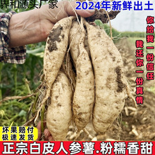 �t�����r�r���ԷN��Ƥ�˅��عϰ�����������20�¼t������