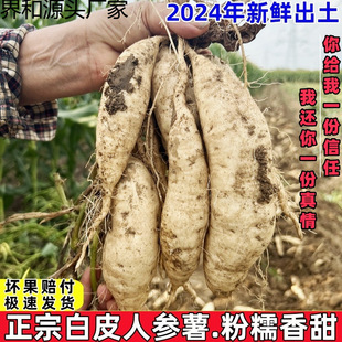 �t�����r�r���ԷN��Ƥ�˅��عϰ�����������20�¼t������