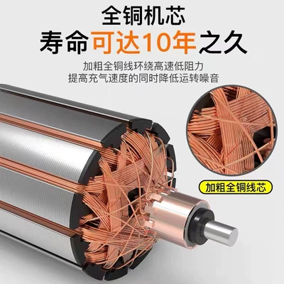 power electric air pump — Hava nasosu