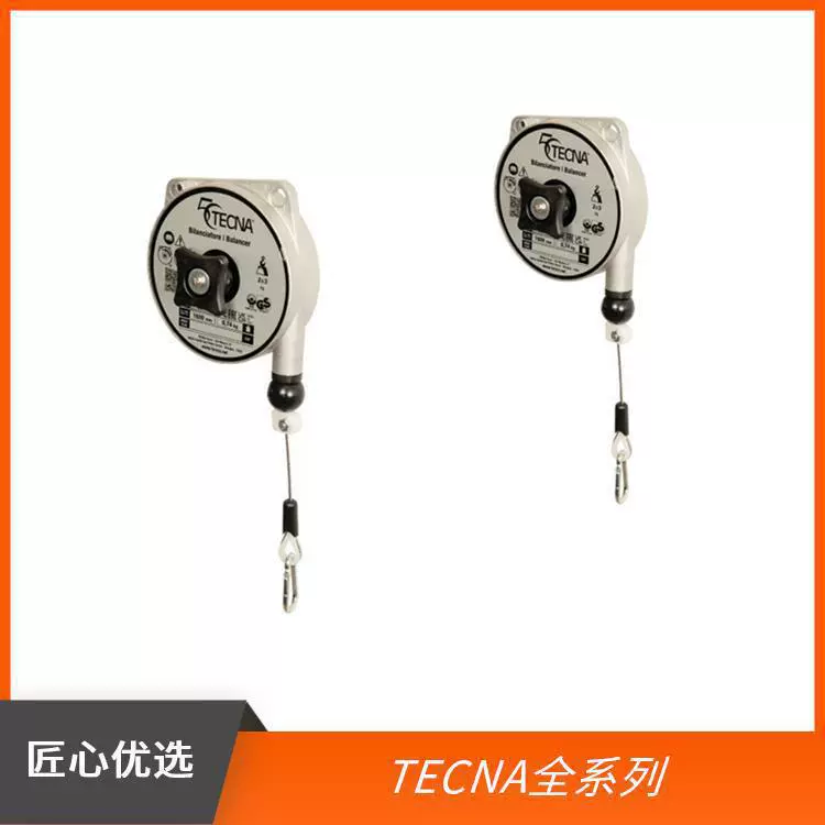 Высокоскоростной динамический балансировочный станок TECNA Italy Spring Balancer 9356AX