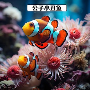 ����С���~��Ī��ˮ�~�^�p�~���wС���~�W����؈�������׽�