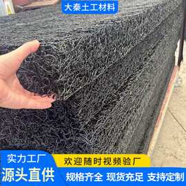 现货过滤排水土工席垫垃圾填埋场尾矿库渗排水片材RCP渗排水网垫