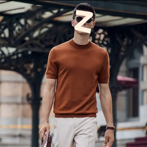 Ice Silk Knit Short Sleeve Summer Cooling High-End Men's Business Short Sleeve T-Shirt Casual Top Thin Model