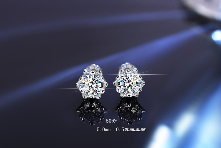 DSC_1341 拷贝_副本_副本