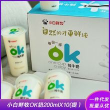 小白鲜牧纯牛奶ok奶网红奶儿童成人高品质鲜牛乳200mlX10杯