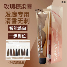 嘉瀛染膏批发发廊染发膏90ml 玫瑰护理染美发店理发店单只染发膏