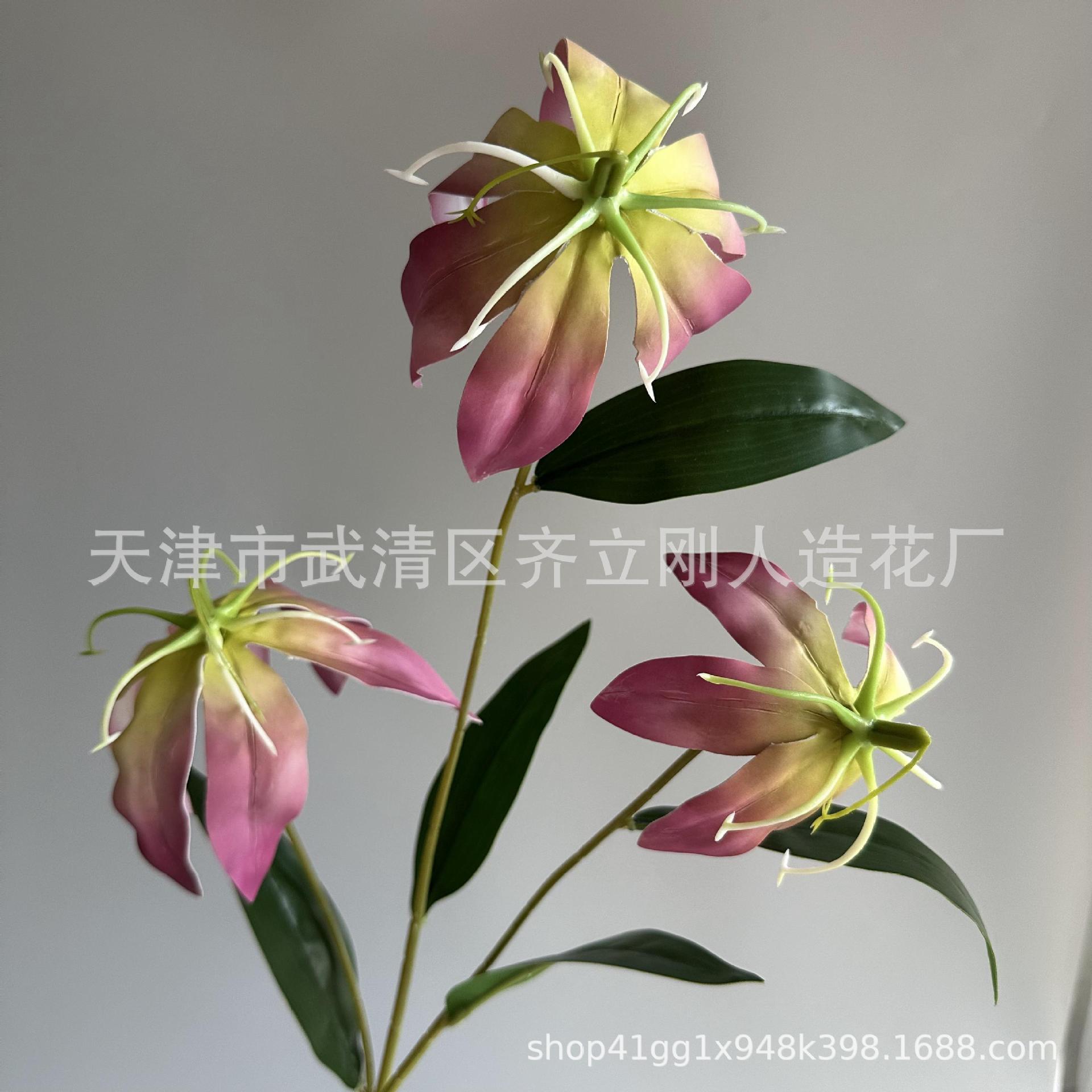 11호