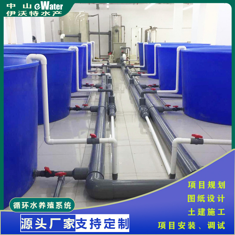 石斑鱼循环水养殖系统海水工厂化封闭式车间水产养殖水处理设备