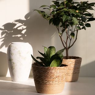 ���W�ݾ����������ֹ��������@�Ҿ��bN���ռ{�оƵ��ռ{�@�ռ{