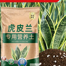 �ԷN��߅��Ƥ�m���I�B�����������N�Bֳ������β�m������