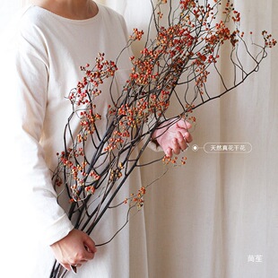 �͏d���Ř�֦�ɻ��滨�������b[���w��ɽ����͹��F�z�r��