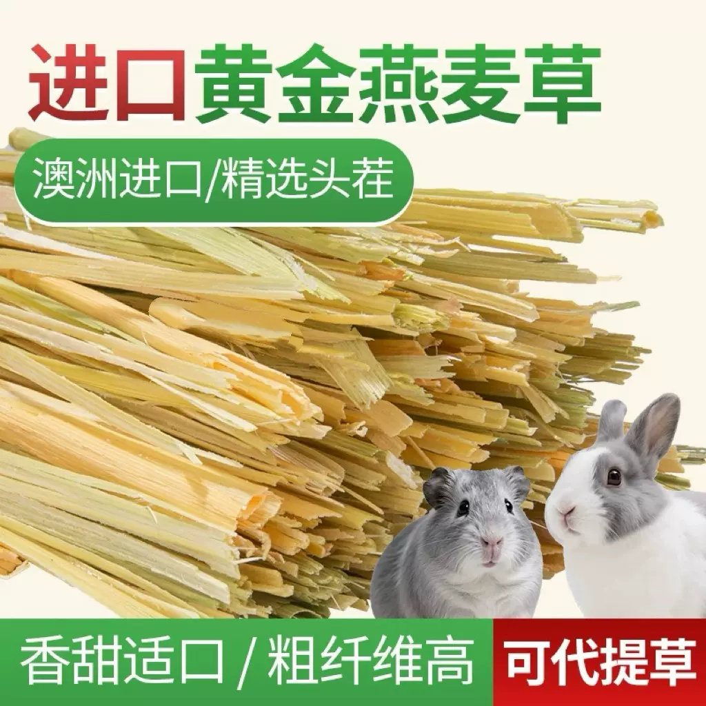 精筛普挑澳洲燕麦草黄金优选超高纤维黄金豆豆兔子草提摩西平替