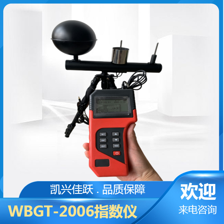 WBGT-2006型黑球湿球温度计 便携式环境检测仪器
