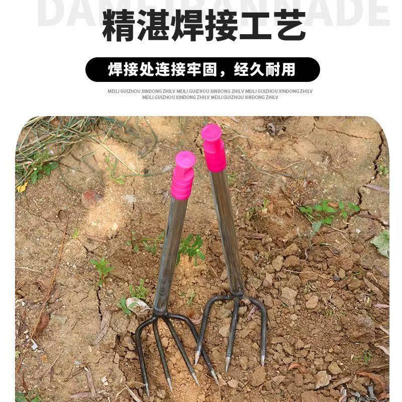 微信图片_202505070826134.jpg