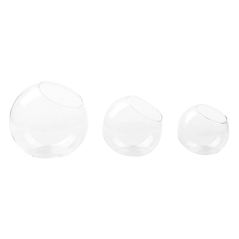 Keding Glass Craft Микро Пейзаж Боковой рот Мясистый гидропонный завод Цветок Прозрачные стеклянные украшения Экологическая бутылка