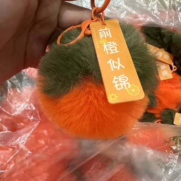 Persimmon pendant【Bright future】