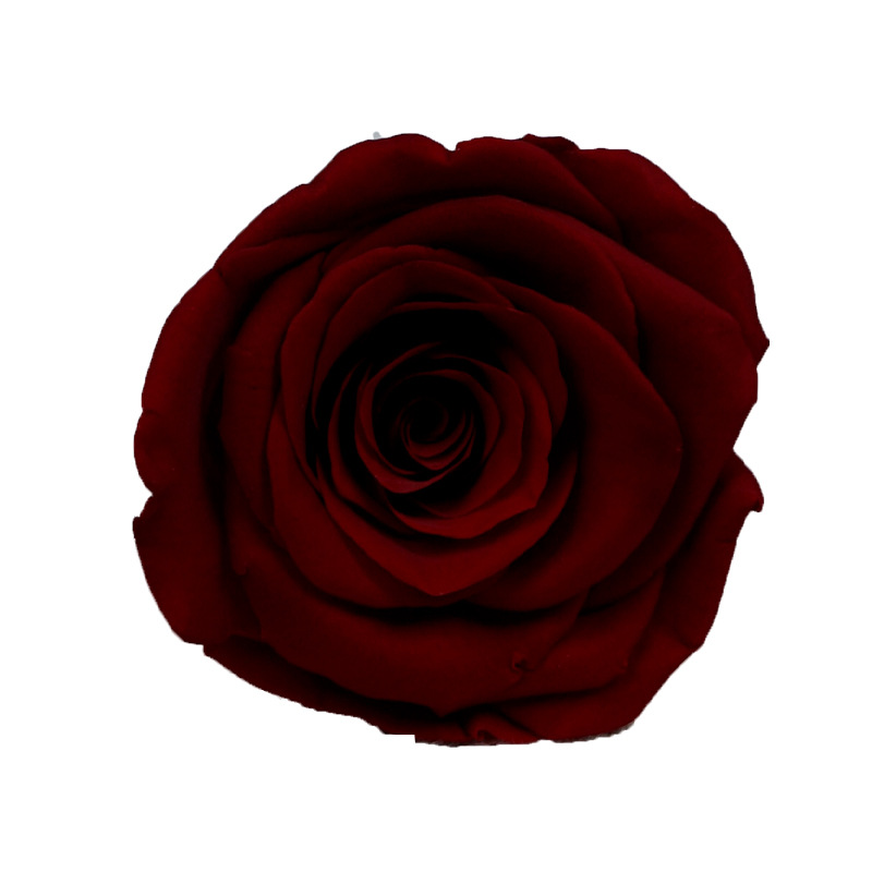 4-5cm 8 Flores, grado B DIY flores eternas, rosas eternas, Yunnan Kunming al por mayor, flores preservadas