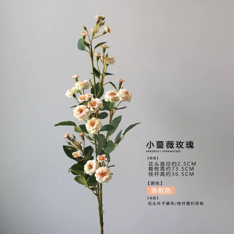【샴페인 컬러】