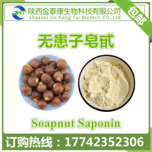 无患子提取物 无患子皂甙70%多种规格Soapnut Saponin无患子皂苷