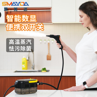 Portable Steam Cleaner, High Temperature and High Pressure, Multifunctional Household Cleaning Machine, Air Conditioner, Kitchen Disinfection and Oil Removal Artifact