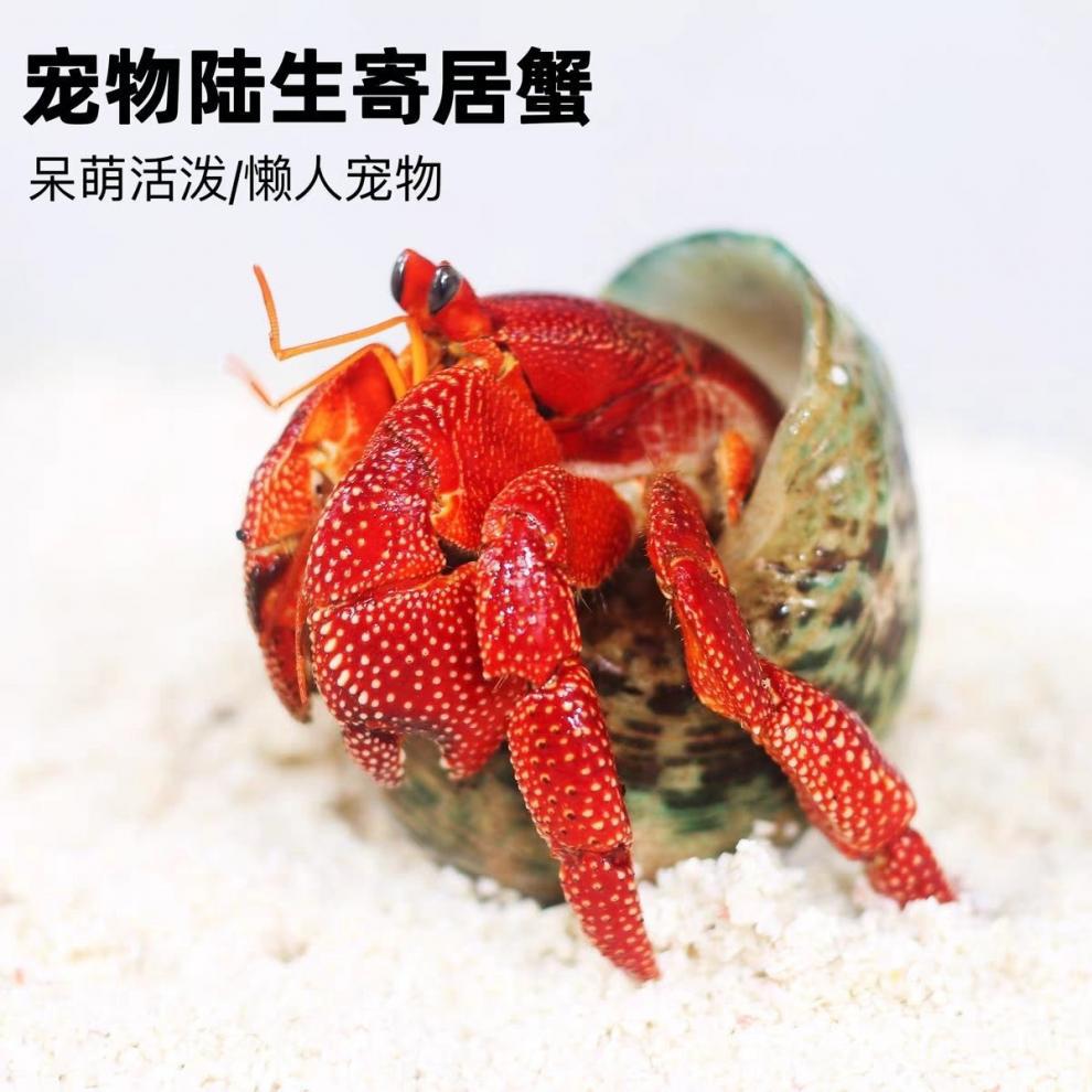 09555201-3c19-45ab-aedd-b51b77b11a31.jpe