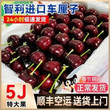 �����M��܇������S���]��5��4jjjj���r�F؛�ЋD����ˮ����Ş��