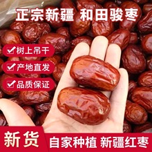 �½��خa������E��һ����500g��ϴ�E����ʳɢ�b���l�½�ֱ�l