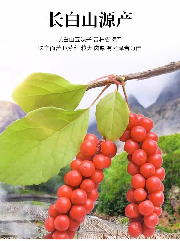 Schisandra Berries Wu Wei Zi 500g Dried Changbai Mountain Herb for Traditional Decoctions and Daily Herbal Tea key features
