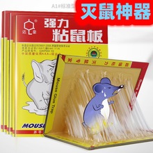 �_��A1ճ����׼�͏����z�Nճ�z�����������s���Ӻ�岶���x