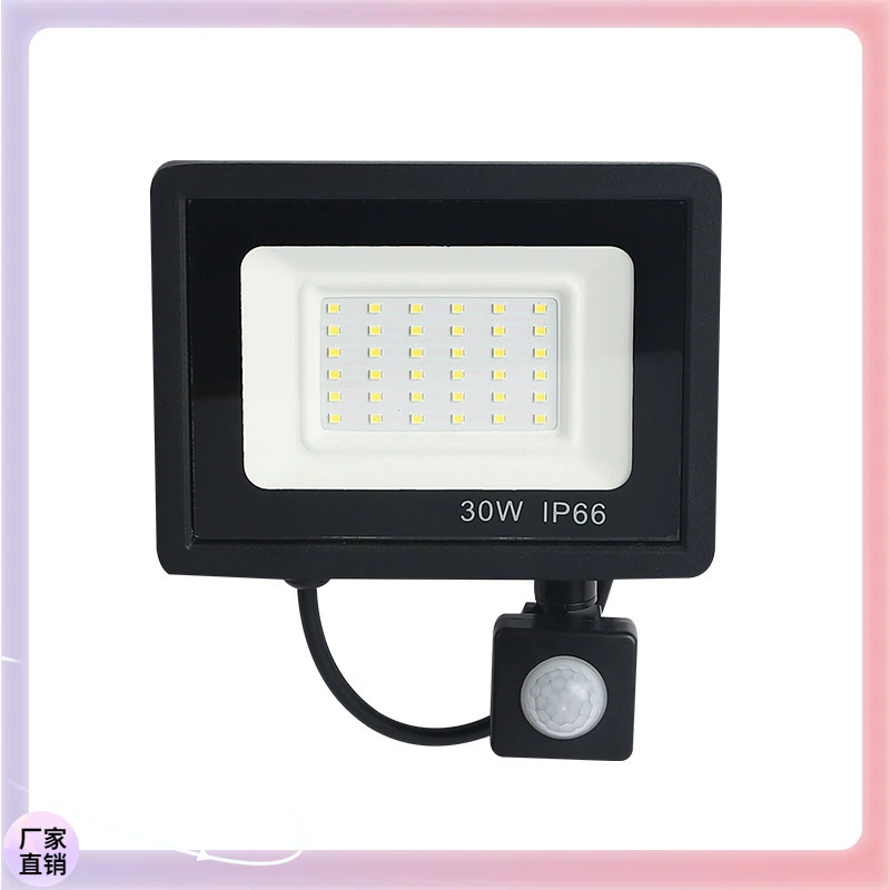 Apple, LED индукционный дорожный физиологический прожектор, 50W, 100W