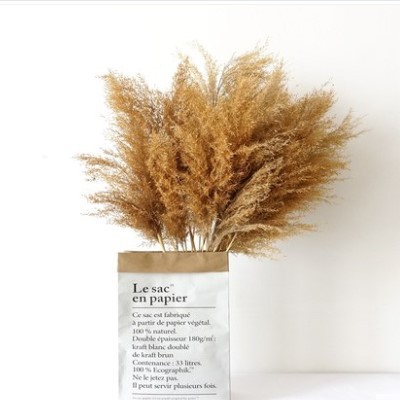 아르테 미시아 10 스틱