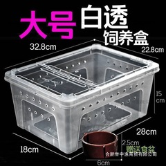 プロの爬虫類飼育ボックス、爬虫類ボックス、大、中、小の木登りボックス、小さな正方形ボックス、クモのダブルオープン脱獄防止ボックス