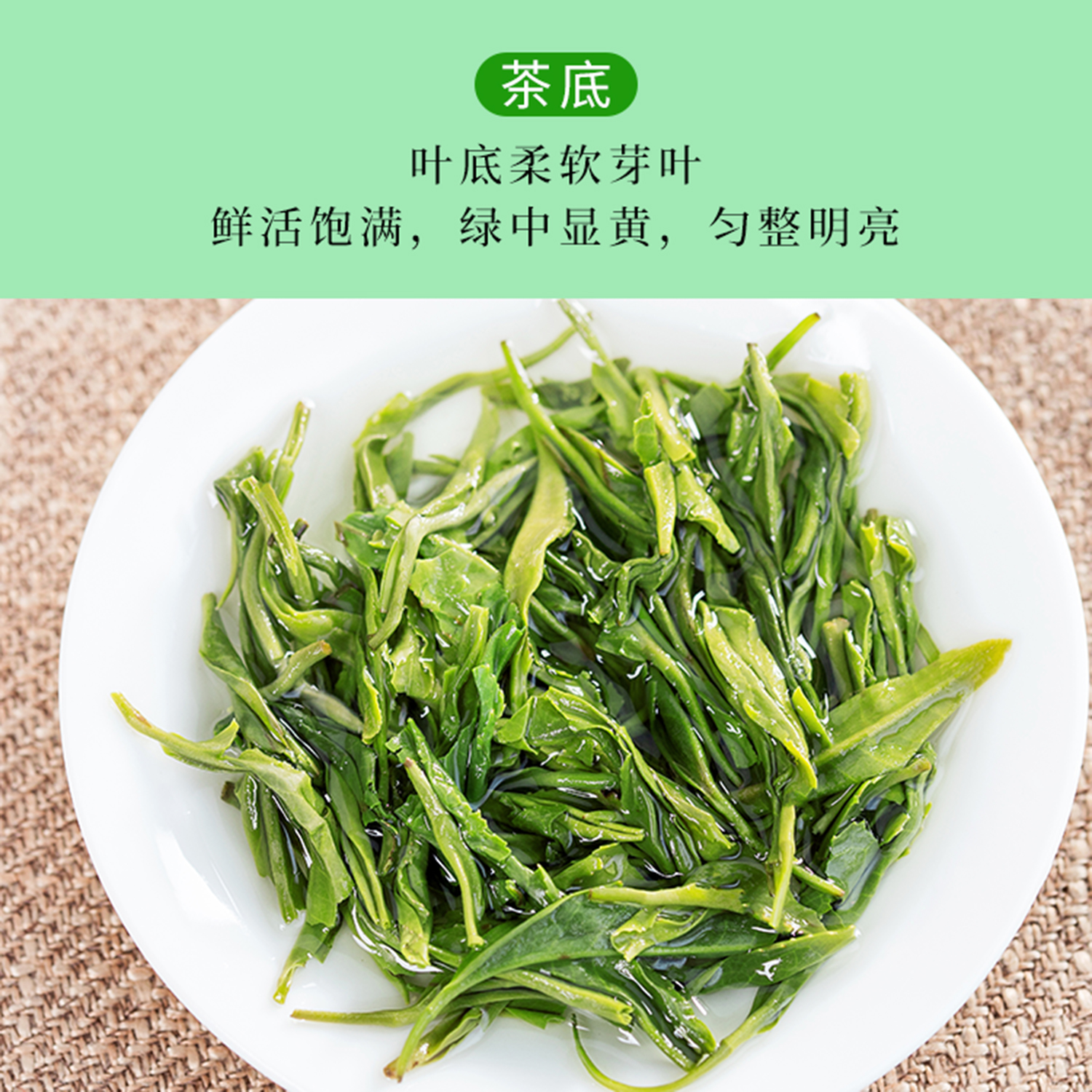 귀주 고산 녹차 특급 모첨 잎차 진한 향 가정용 500g