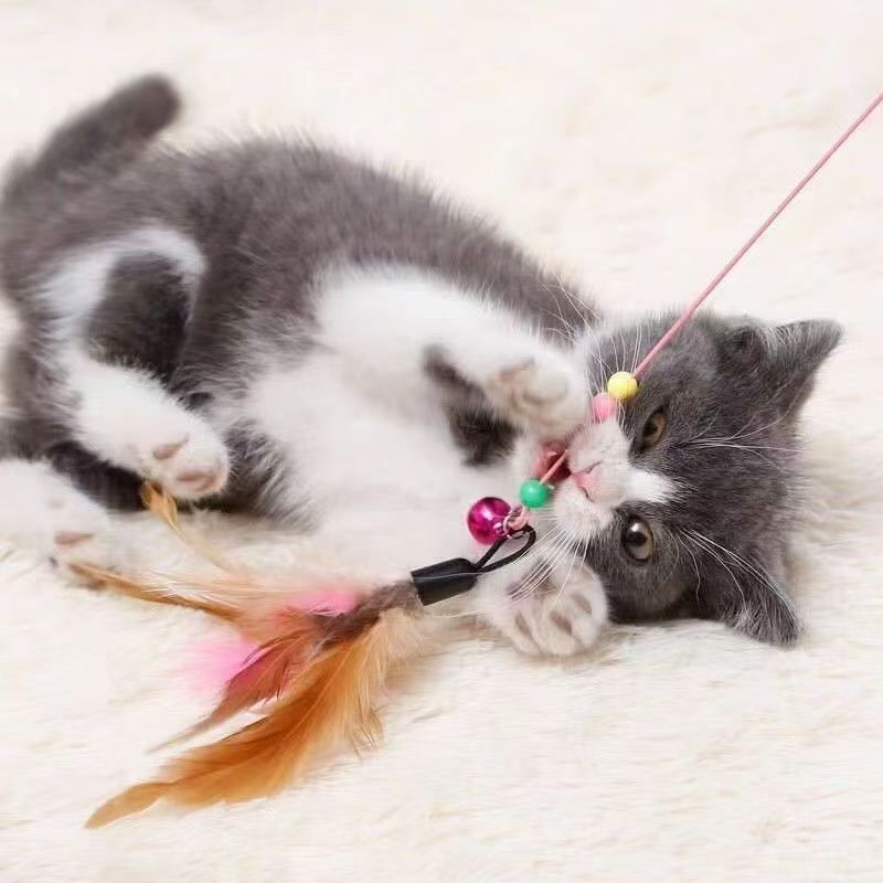 宠物玩具钢丝逗猫棒长杆羽毛铃铛逗猫神器可替换头自嗨解闷猫玩具|undefined