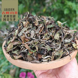 普洱茶;再加工茶;白茶
