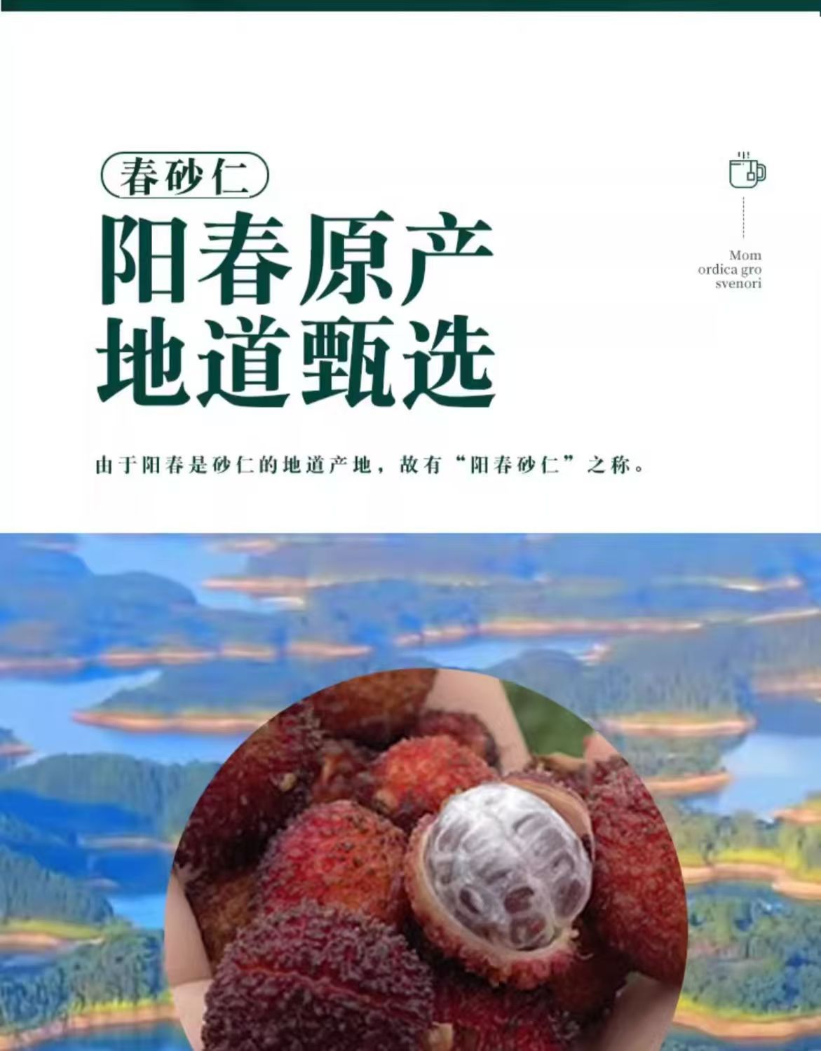 Yangchun Amomum Fruit Sha Ren 500g Dried TCM Herb for Cooking and Decoction quality and texture