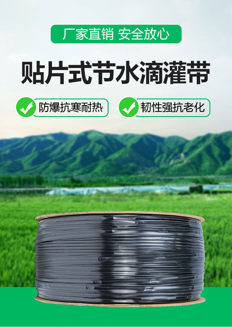详情_01.jpg
