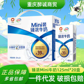 5月新货伊利臻浓牛奶mini125ml*20盒整箱儿童办公室营养早餐代发